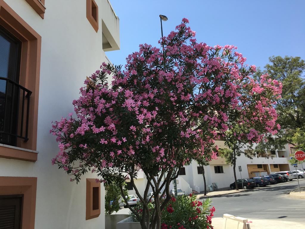 Lovely Beach Apartment Bellavista Albufeira Exterior photo